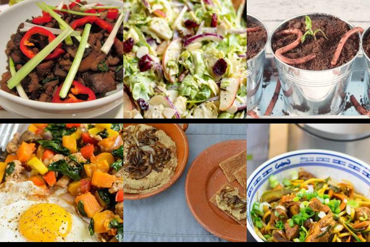 Evening Meal Plan - Week Commencing 12/12/2022