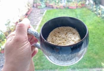Slimming World Baked Oats (Microwave & Low Syn)