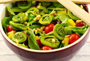 Spring Salad With Fiddleheads & Blackberry Vinaigrette