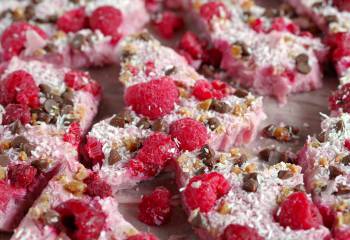 Raspberry Bliss Frozen Yogurt Bark- Ww Friendly!
