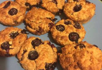 Blueberry Oat Breakfast Muffins