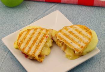 Leftover Turkey, Cranberry & Brie Panini