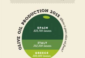 The Olive Oil Buyers Guide With Mozzarella Sticks Recipe.