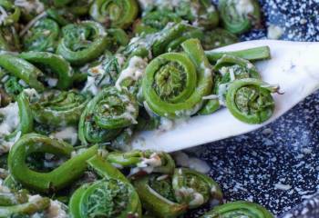 Cheesy Saut&Eacute;Ed Fiddleheads