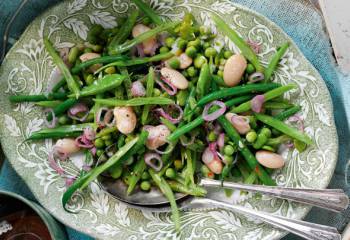 Slimming World Mixed Summer Bean Salad Recipe
