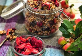 Healthy Sugar-Free Homemade Berry Granola