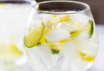 Elderflower Gin Fizz