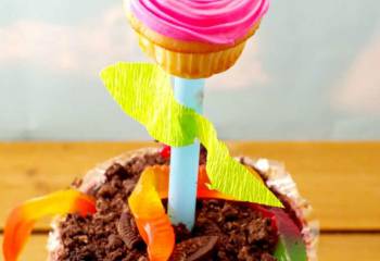 Cupcake Flower Pots : An Edibly Diy Mother's Day Gift