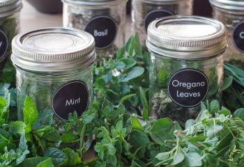 How To Dehydrate Herbs In The Air Fryer